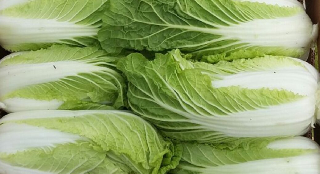 Додала це до пекінської капусти і салат став бездоганно смачним: навіть свекруха попросила дати рецепт 