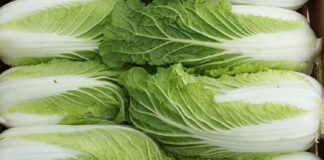 Рецепт цікавого салату з пекінської капусти
