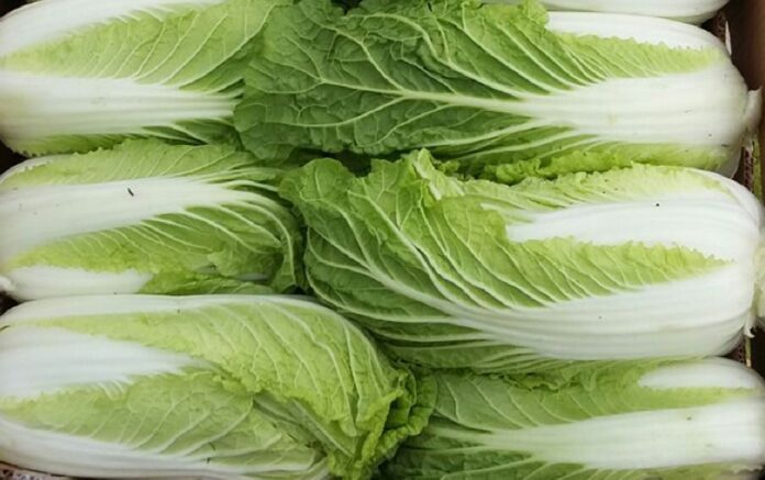Рецепт цікавого салату з пекінської капусти