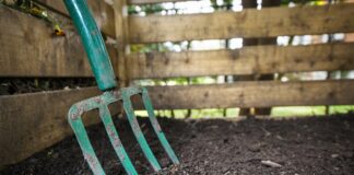 Городники розповіли, що не варто класти у компостну яму 