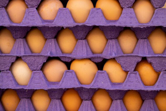 Яєчні лотки часто використовуються в повсякденному житті