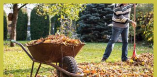 Дачники розповіли, як застосувати опале листя 