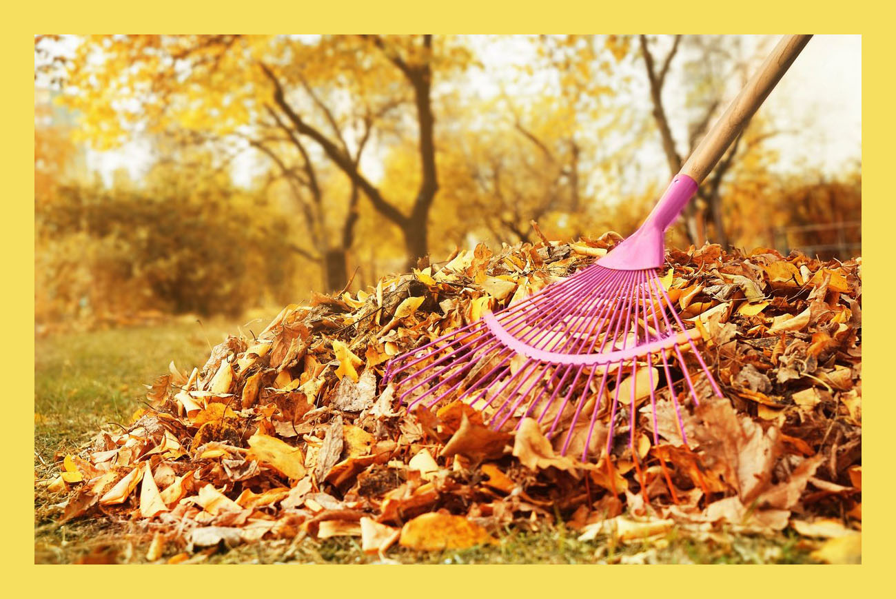 Уборка листвы. Уборка листьев. Уборка листьев в саду. Уборка листьев осенью. Опавшие листья.