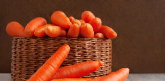 Експерти пояснили, чому не можна зберігати моркву у холодильнику