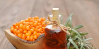  Городники назвали найкращі добрива для обліпихи