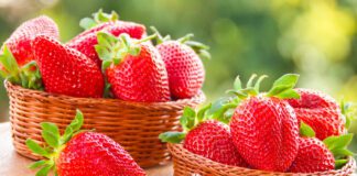 Городник розповів, чим підживити полуницю у грудні