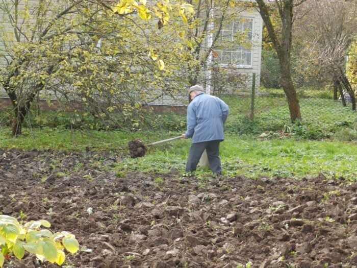 Експерти назвали список необхідних робіт на городі перед листопадом