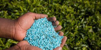 Чому не можна використовувати гербіциди восени