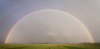 Синоптики прогнозують різке потепління в деяких регіонах країни 