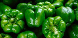Експерти назвали найкращих сусідів для болгарського перцю на городі