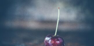 Рекомендації від досвідчених дачників, як правильно обрізати вишню