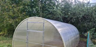 Як правильно підготувати теплицю до весни