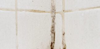 Господар назвав дієвий засіб виведення плісняви