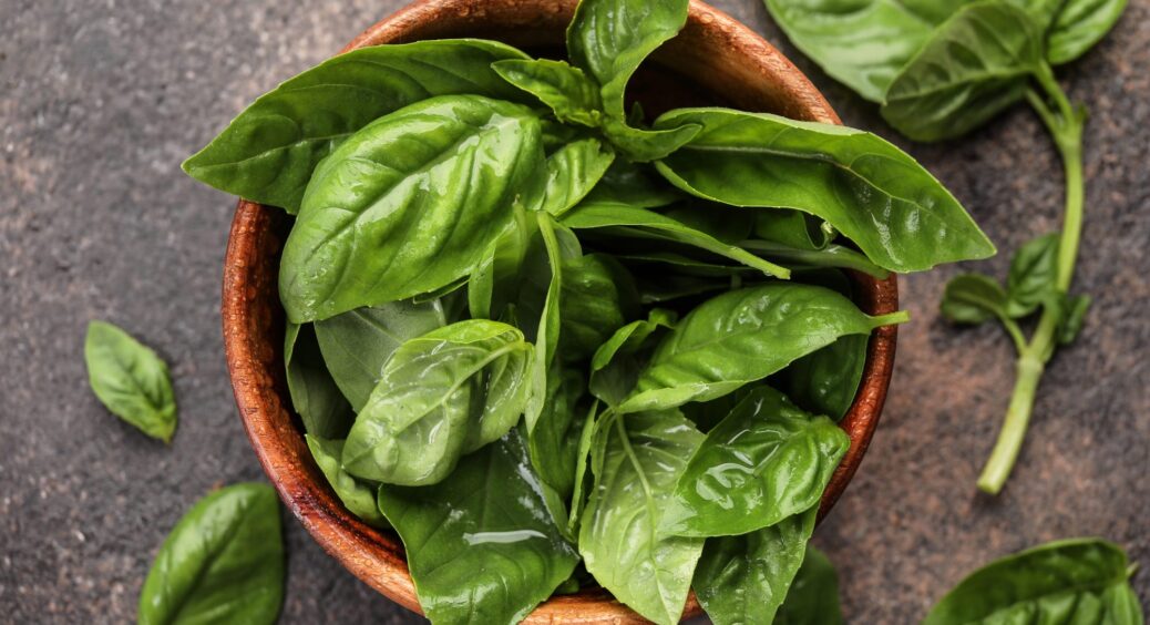 Зробила на підвіконні райський сад зелені: як виростити вдома базилік — секрети досвідчених 