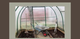 Підготовка теплиці до нового сезону