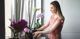 Експерти назвали єдиний правильний метод поливу орхідей: в чому інновація