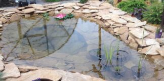 Експерти обговорили, як готувати домашній став до холодів