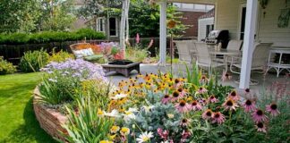 Експерти детально розповіли, які рослини не варто садити на ділянці