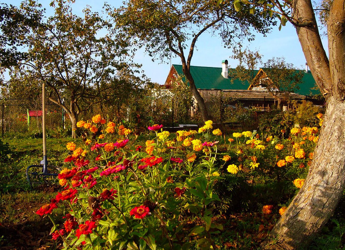 Експерти назвали головні помилки городників восени