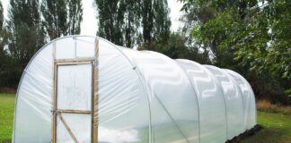 Дачники розповіли, як підготувати теплицю до зими