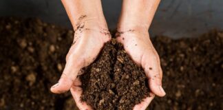 Експерти обговорили, чим можна розпушити землю