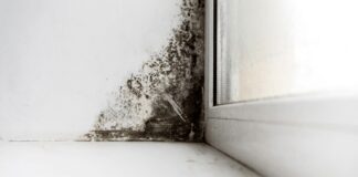 Як ефективно позбутися плісняви на вікнах та підвіконні