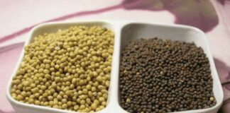 Рецепт гірчичного соусу на всі випадки життя