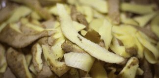 Експерти розповіли, чи можна закопувати в ґрунт рослинні рештки 