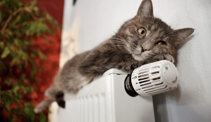 Господині розповіли, як покращити тепловіддачу батарей