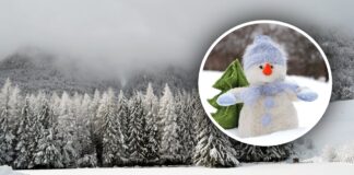 КМДА попереджає: Київ засніжить, можлива сильна ожеледиця