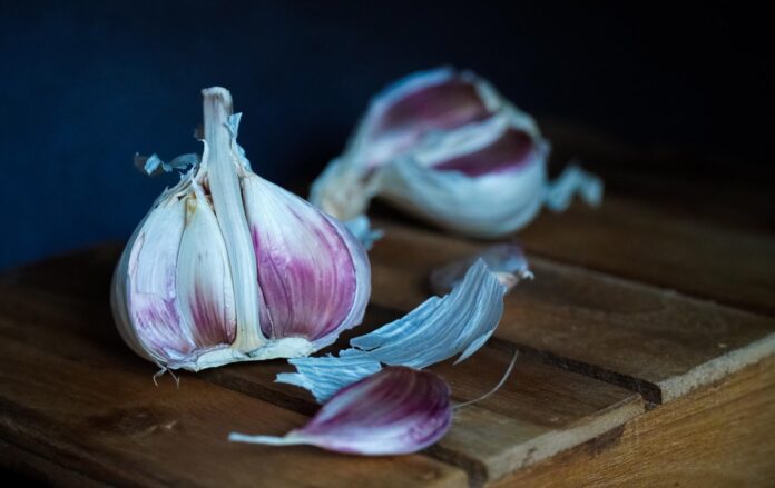 Як виростити великий часник