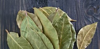 Чим корисний лавровий лист у побуті: корисні лайфхаки 