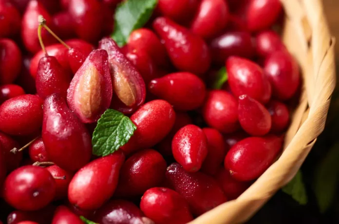 Як виростити кизил на своїй ділянці в листопаді