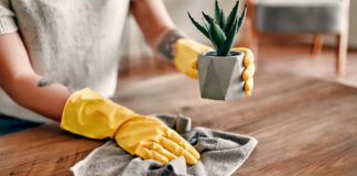 Як боротися з пилом вдома і що робити, щоб його позбутися