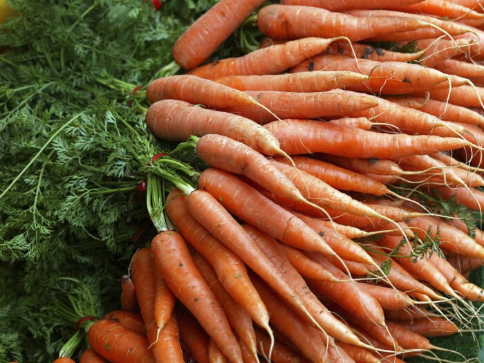 Правила посадки озимої моркви