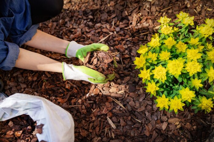 Що може допомогти городникам відмовитися від постійного перекопування городу та розпушування ґрунту