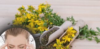 Експерти розповіли, якими травами можна позбутися метеозалежності