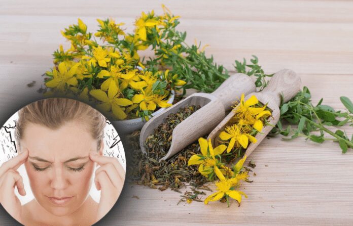 Експерти розповіли, якими травами можна позбутися метеозалежності