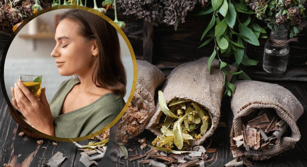 Додала всього дві ложки і бадьорості мені не займати: які чаї з городніх трав варто включити у меню 