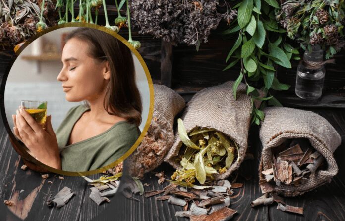 Городник розповів, якими корисними травами можна підтримати організм Городник розповів, якими корисними травами можна підтримати організм