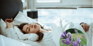 Що варто посадити вдома, аби гарно та ефективно спати 