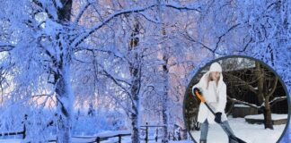 Фермер розповів, навіщо затримувати сніг на городі