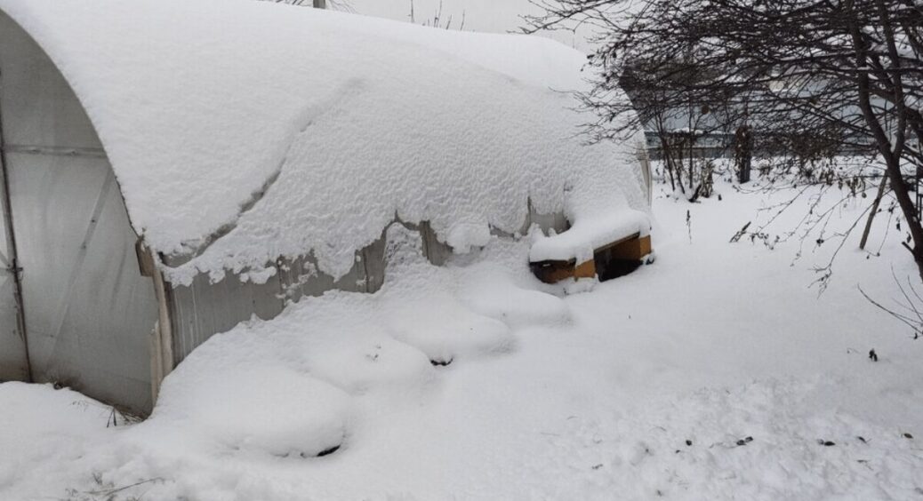 Що треба встигнути зробити у грудні на дачі: обов’язково до прочитання, щоб земля була здоровою і родючою 