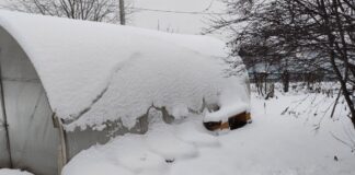 Що треба зробити, аби підготувати город до зими 
