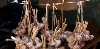 Експерти назвали спосіб зберігання часнику без холодильника