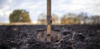 Як підвищити родючість ґрунту 