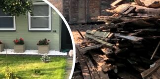 Пара перевтілила дачу до невпізнання