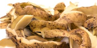 Городник розповів, як зробити добриво з лушпиння картоплі