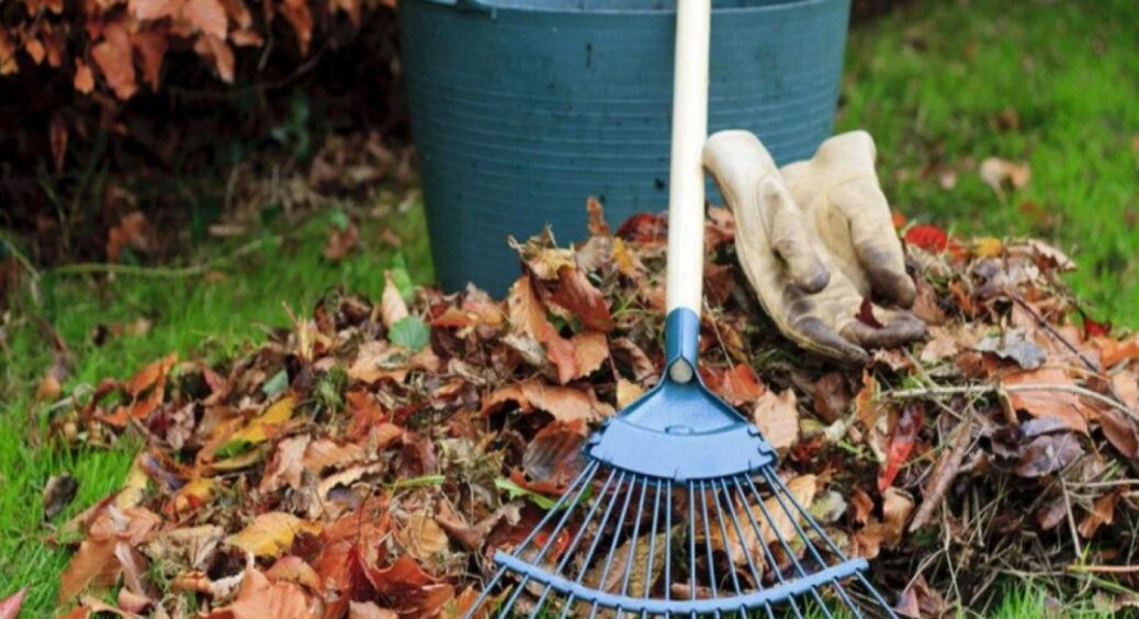 Як правильно збирати листя на своїй ділянці: і тут також існують правила. Головні поради, як прибирати 