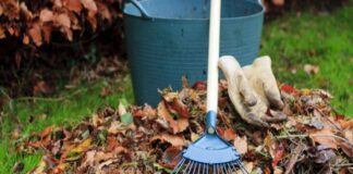 Як правильно збирати листя на городі